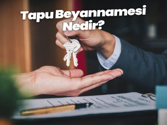 Tapu Beyannamesi