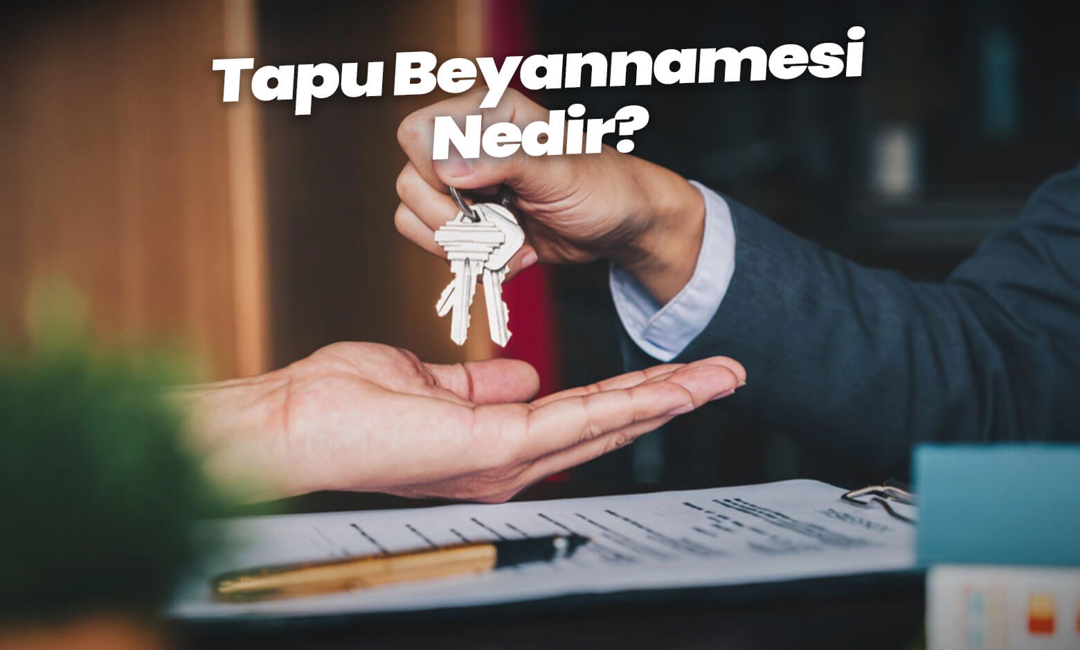 Tapu Beyannamesi