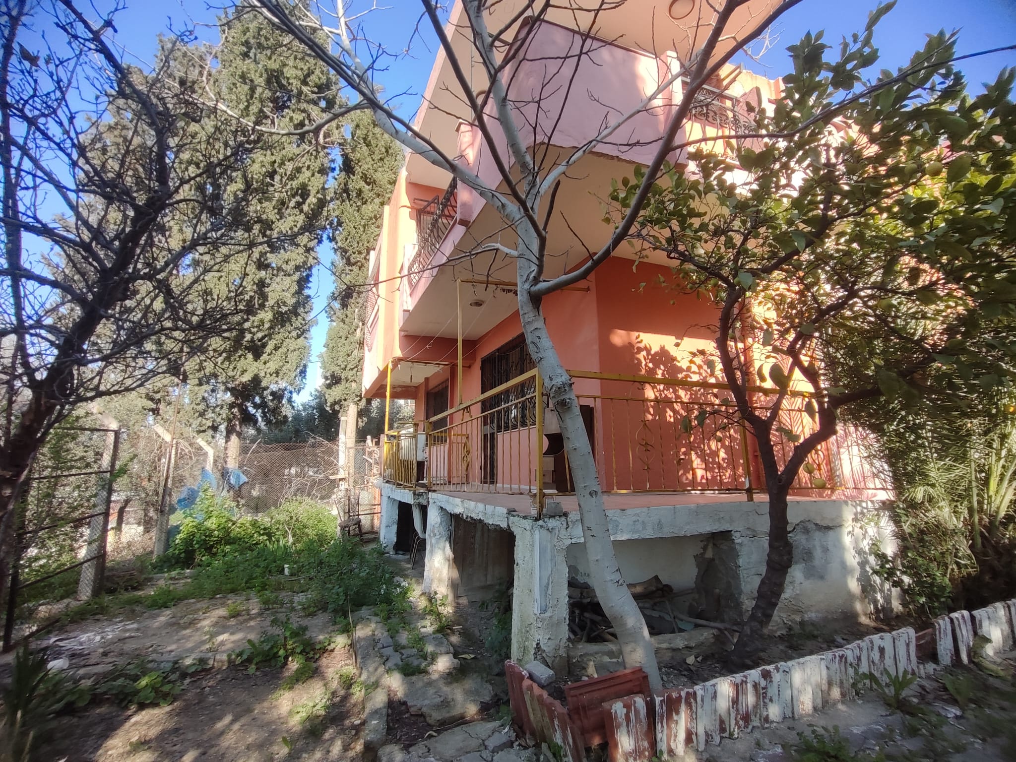 WhatsApp Image 2026-03-12 at 12.41.04 (1)