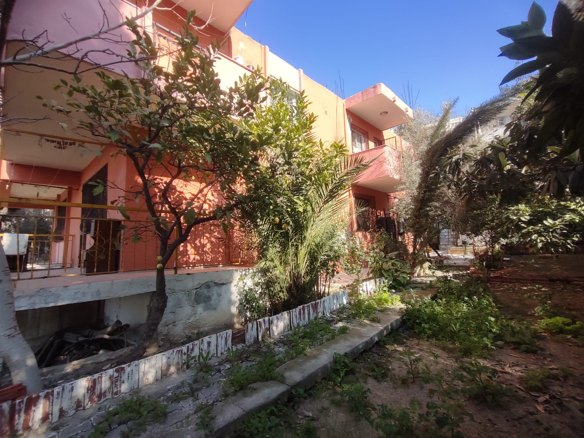 WhatsApp Image 2026-03-12 at 12.41.04