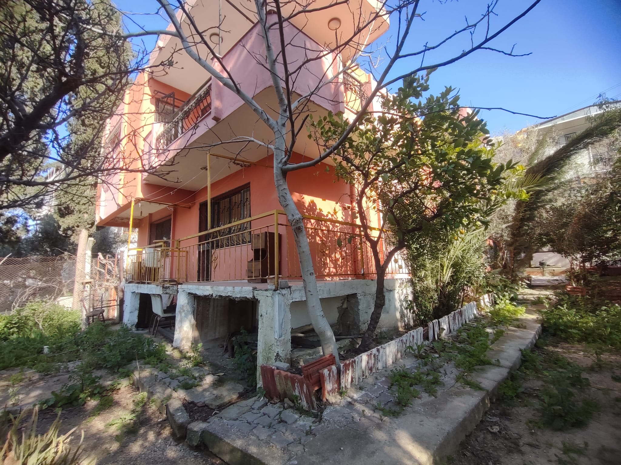 WhatsApp Image 2026-03-12 at 12.41.34