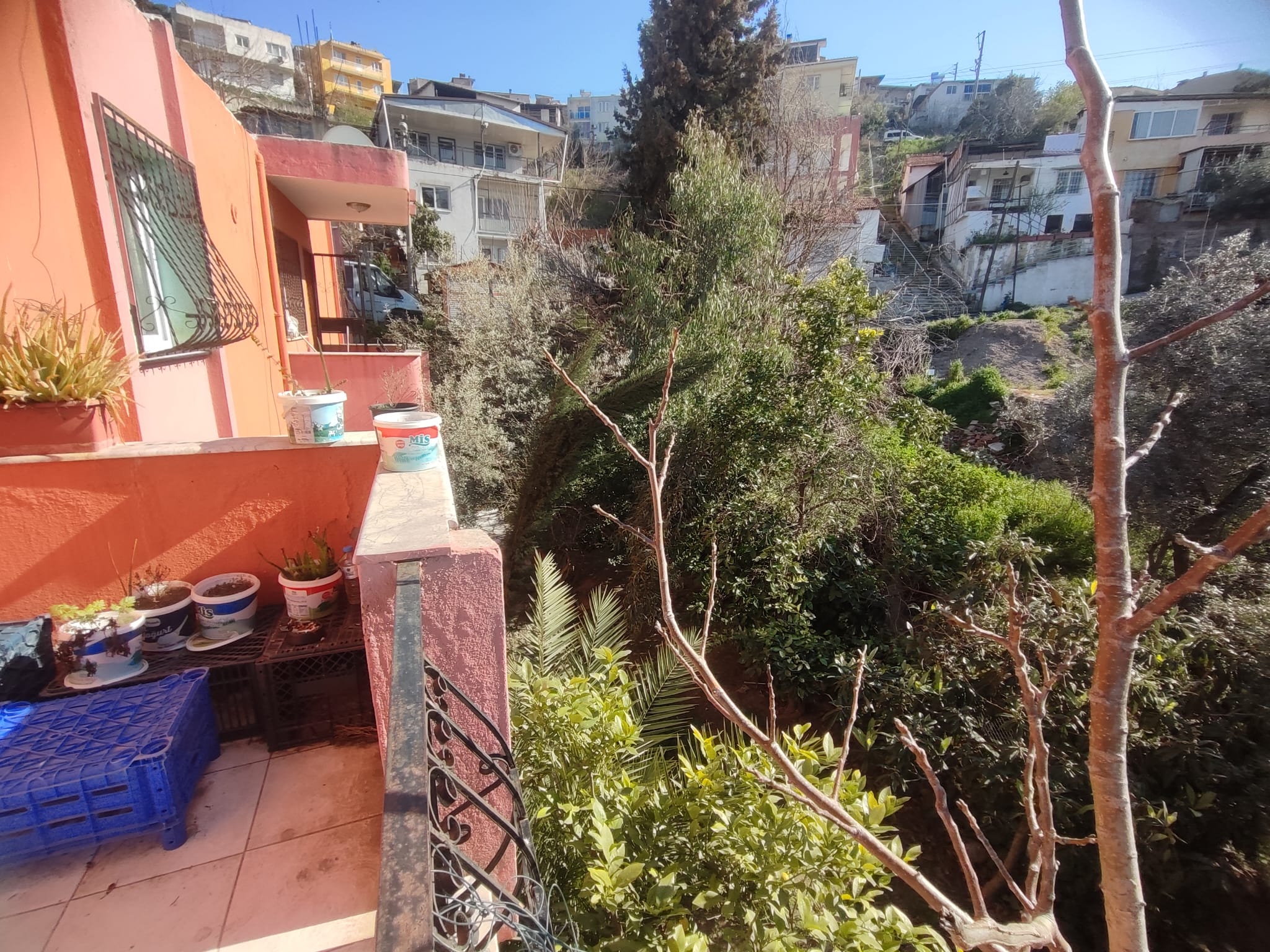 WhatsApp Image 2026-03-12 at 12.41.35 (3)