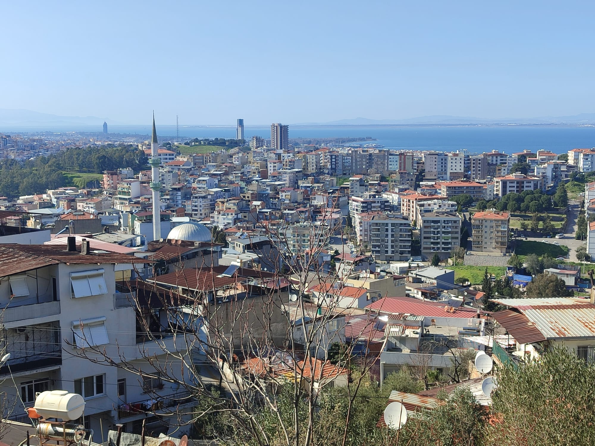 WhatsApp Image 2026-03-12 at 12.41.35 (5)