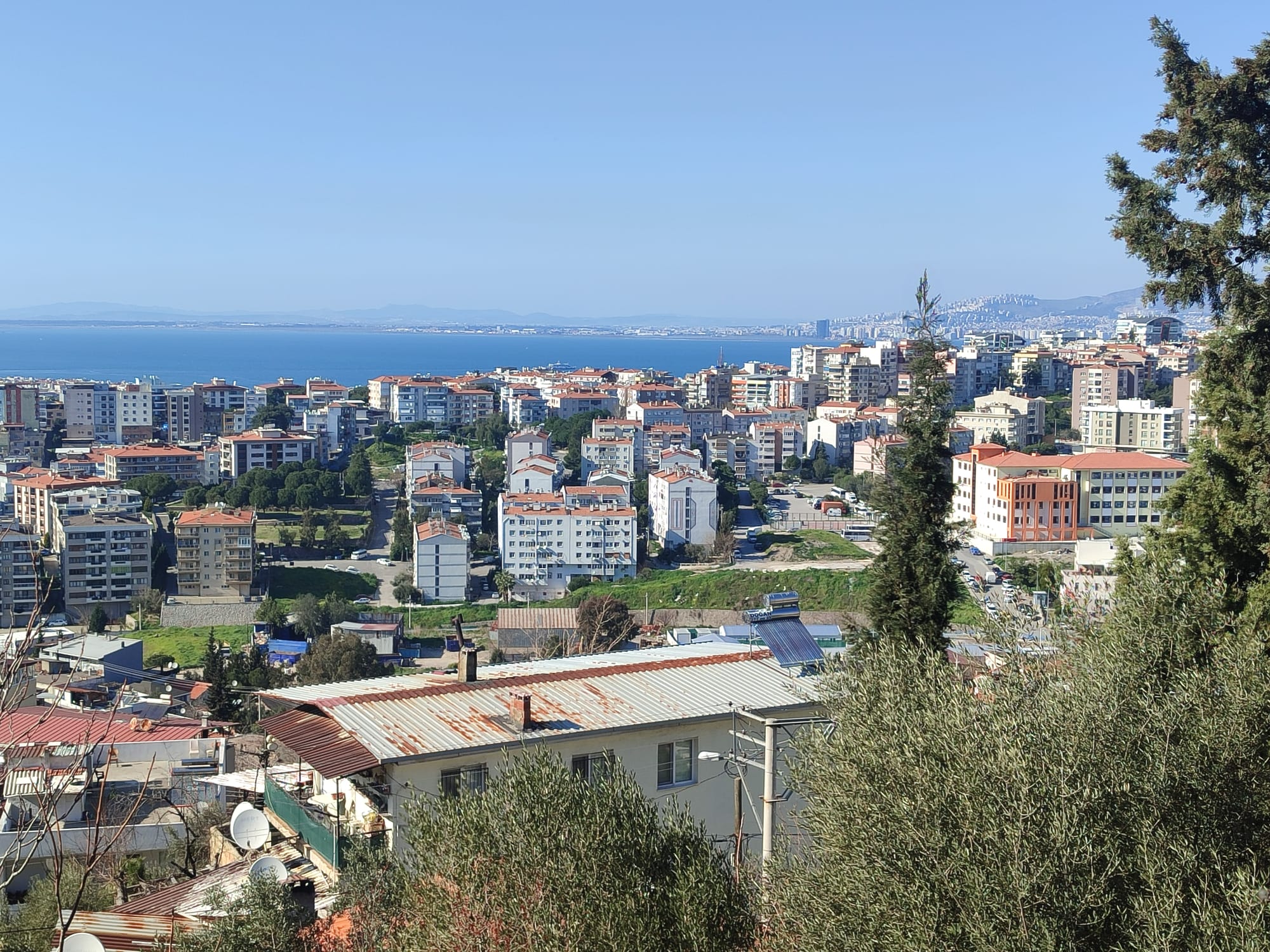 WhatsApp Image 2026-03-12 at 12.41.35 (6)