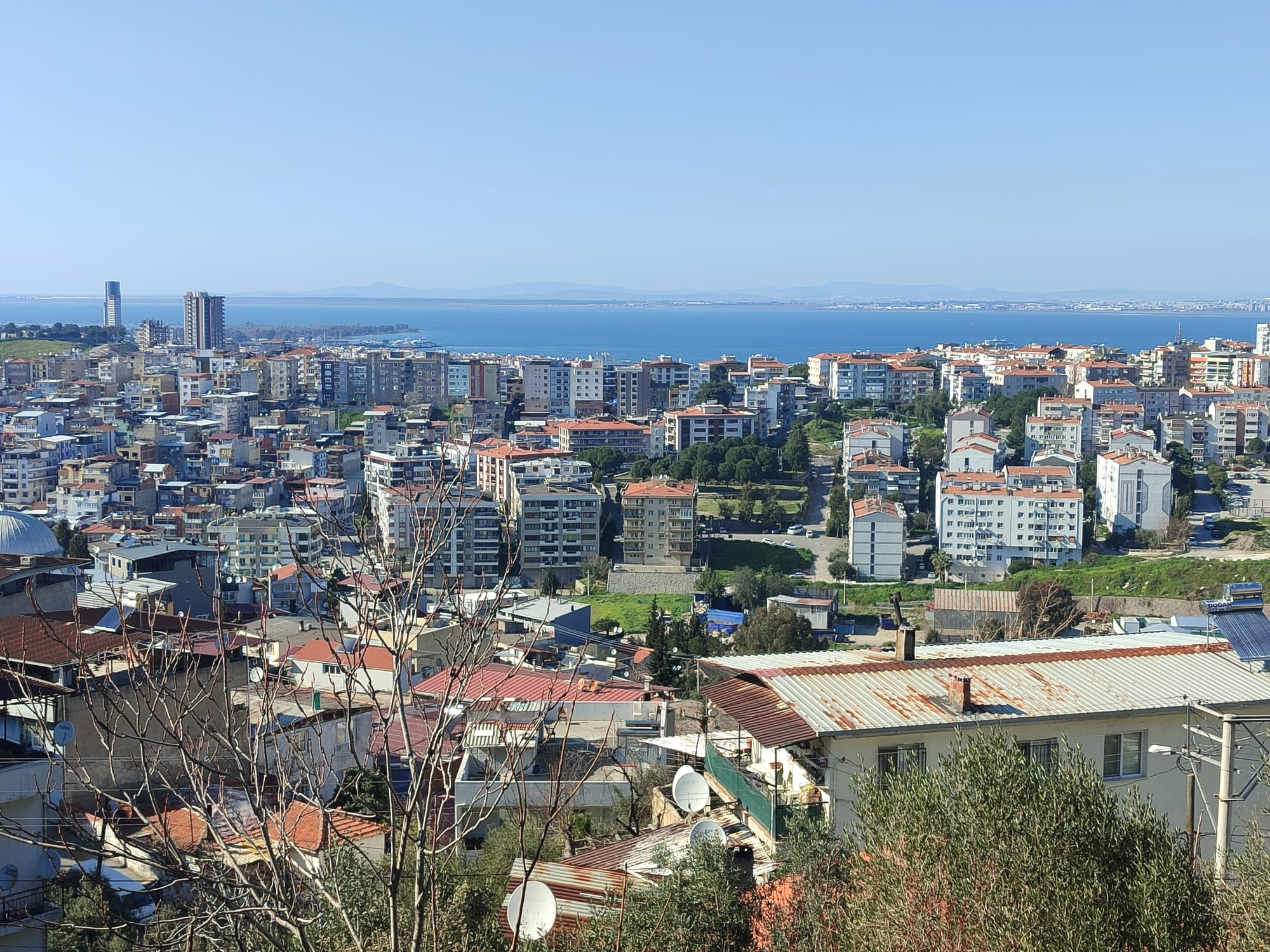 WhatsApp Image 2026-03-12 at 12.41.35 (7)