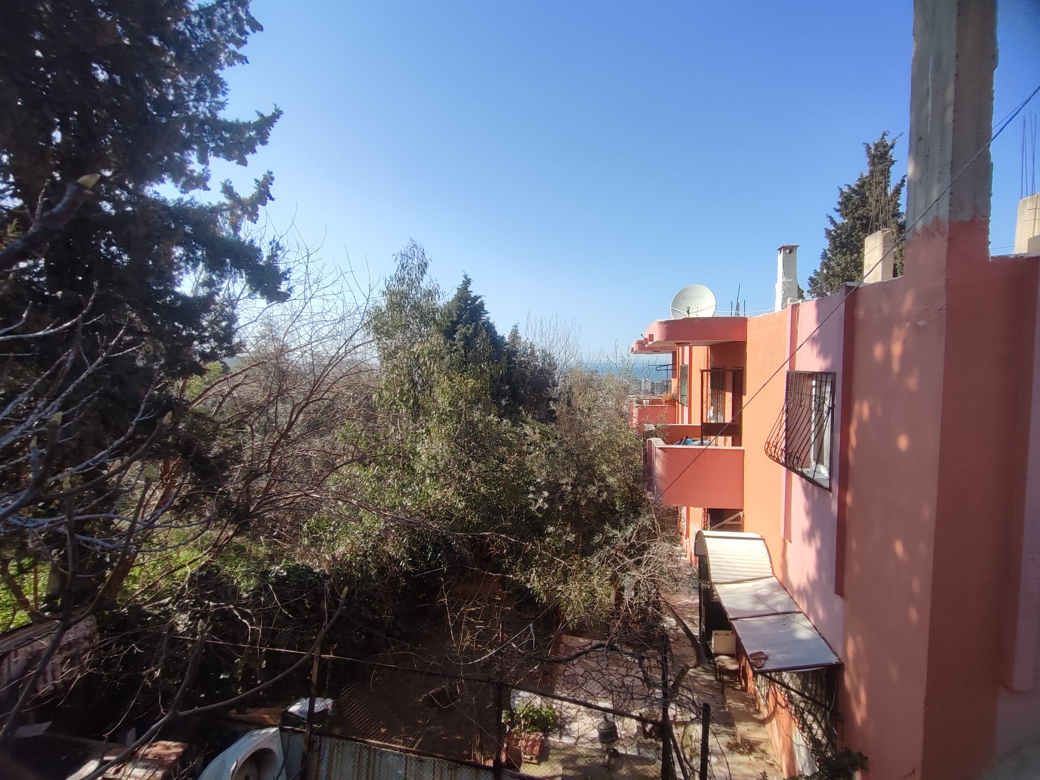 WhatsApp Image 2026-03-12 at 12.41.35 (8)