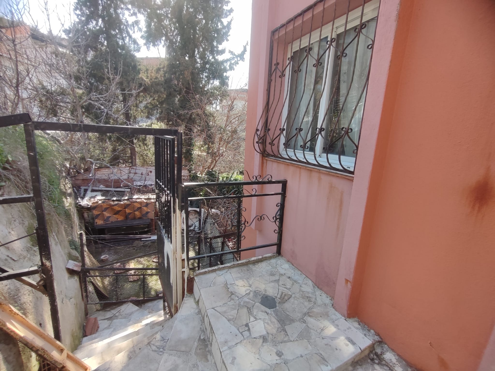 WhatsApp Image 2026-03-12 at 12.41.36 (3)