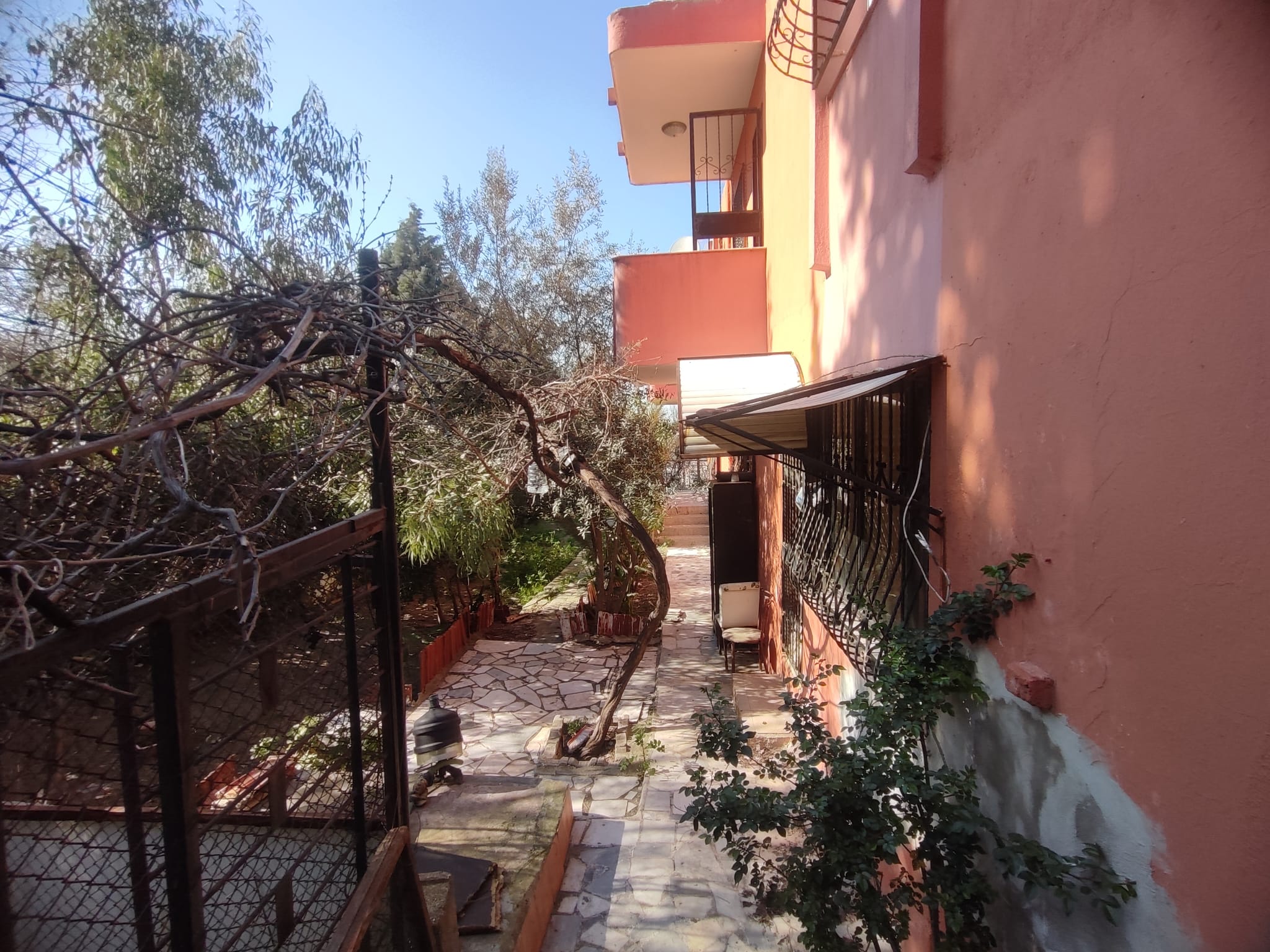 WhatsApp Image 2026-03-12 at 12.41.36 (4)