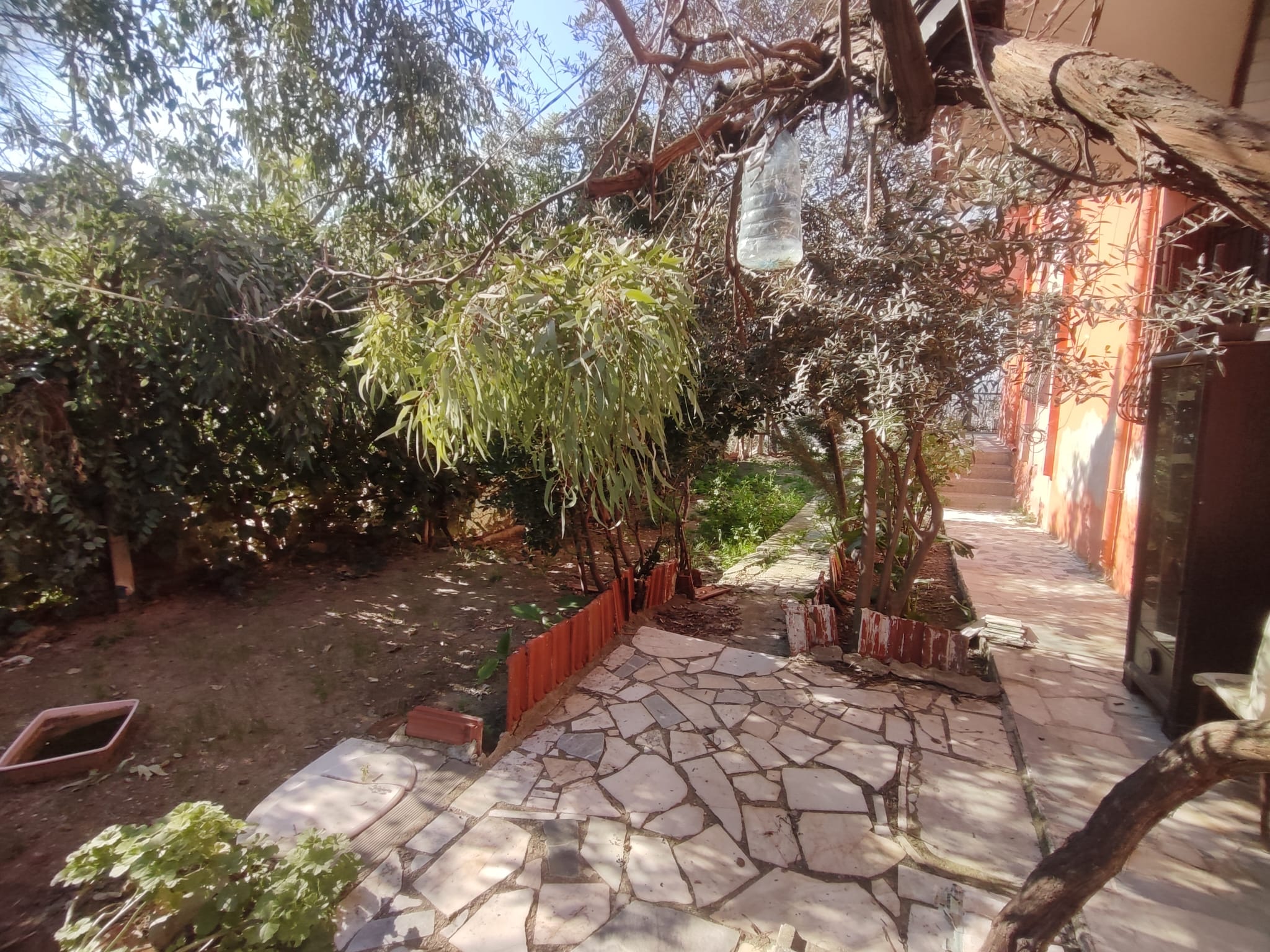 WhatsApp Image 2026-03-12 at 12.41.36 (6)