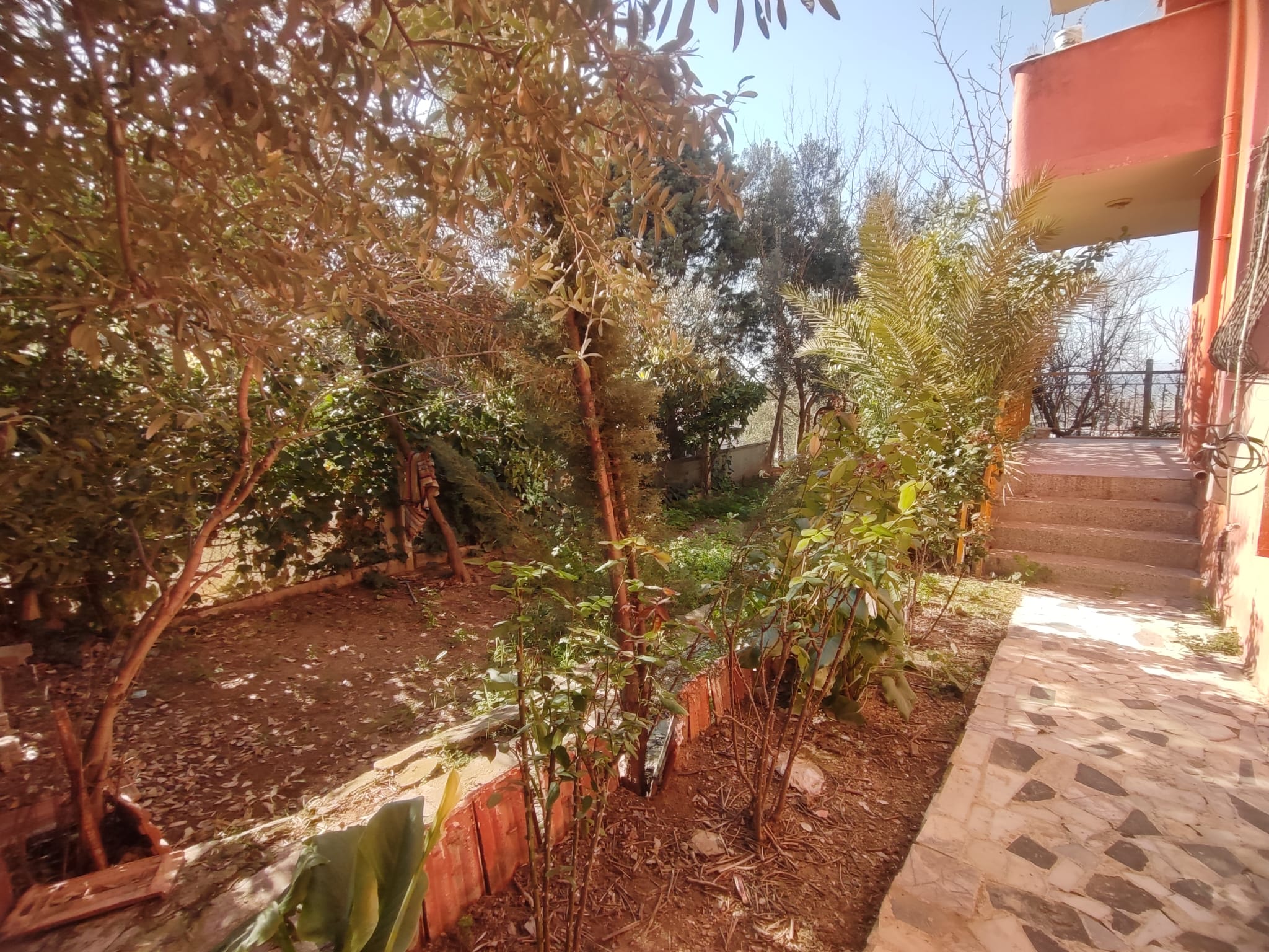 WhatsApp Image 2026-03-12 at 12.41.36 (7)