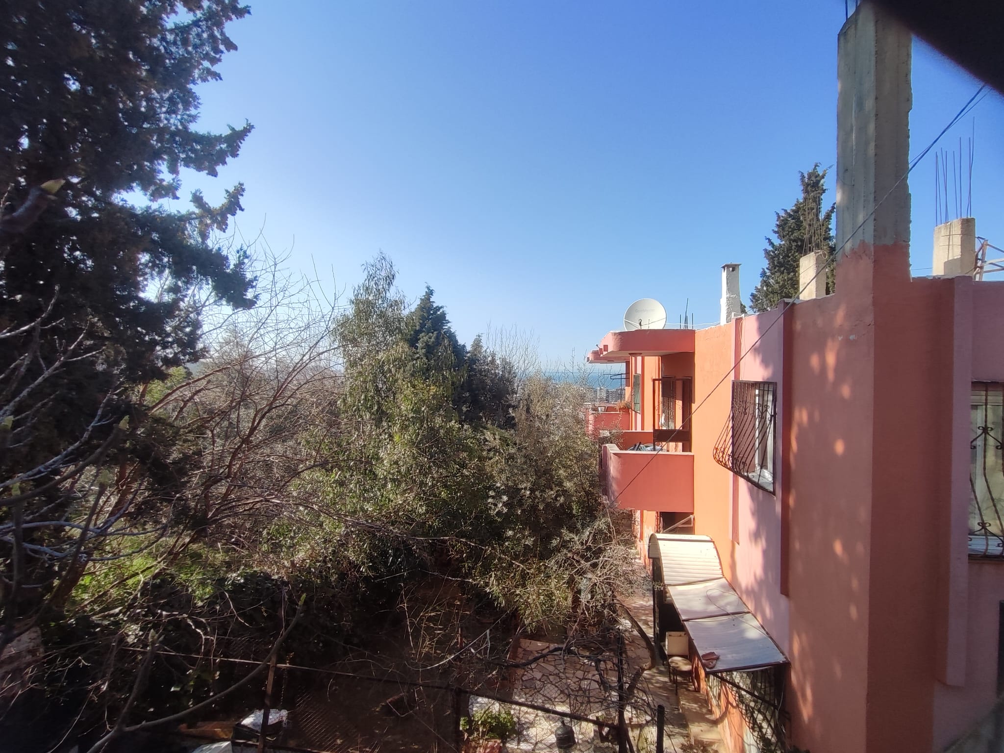 WhatsApp Image 2026-03-12 at 12.41.36