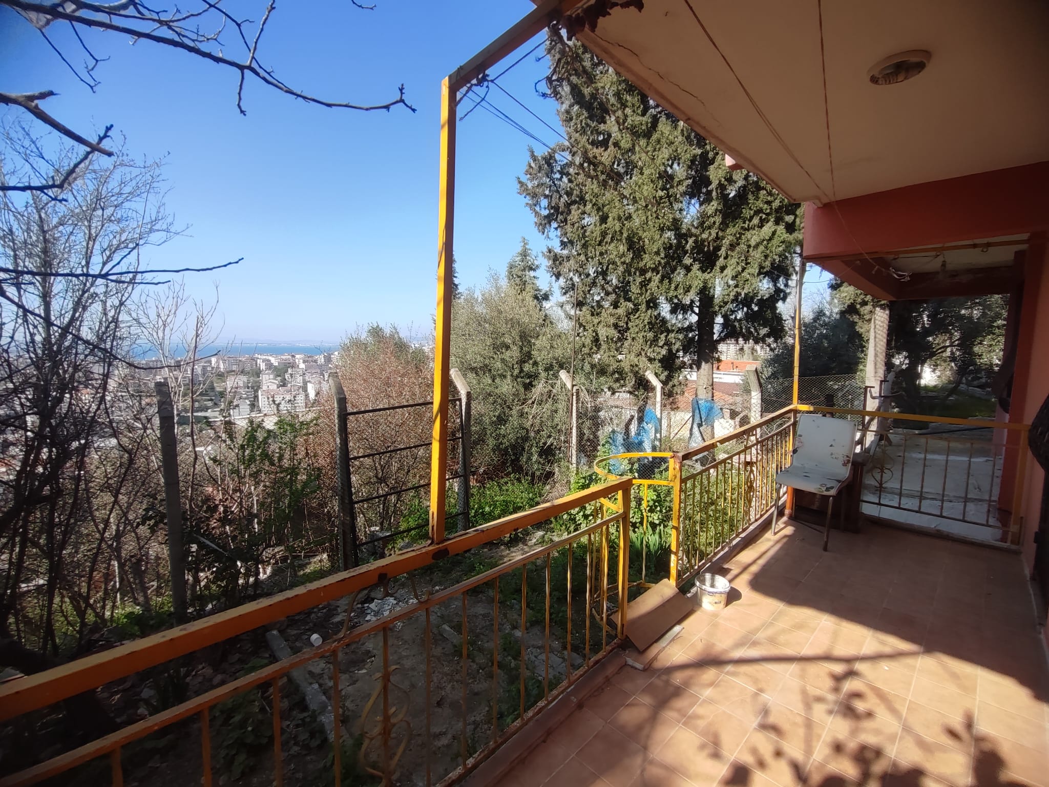 WhatsApp Image 2026-03-12 at 12.41.37 (1)