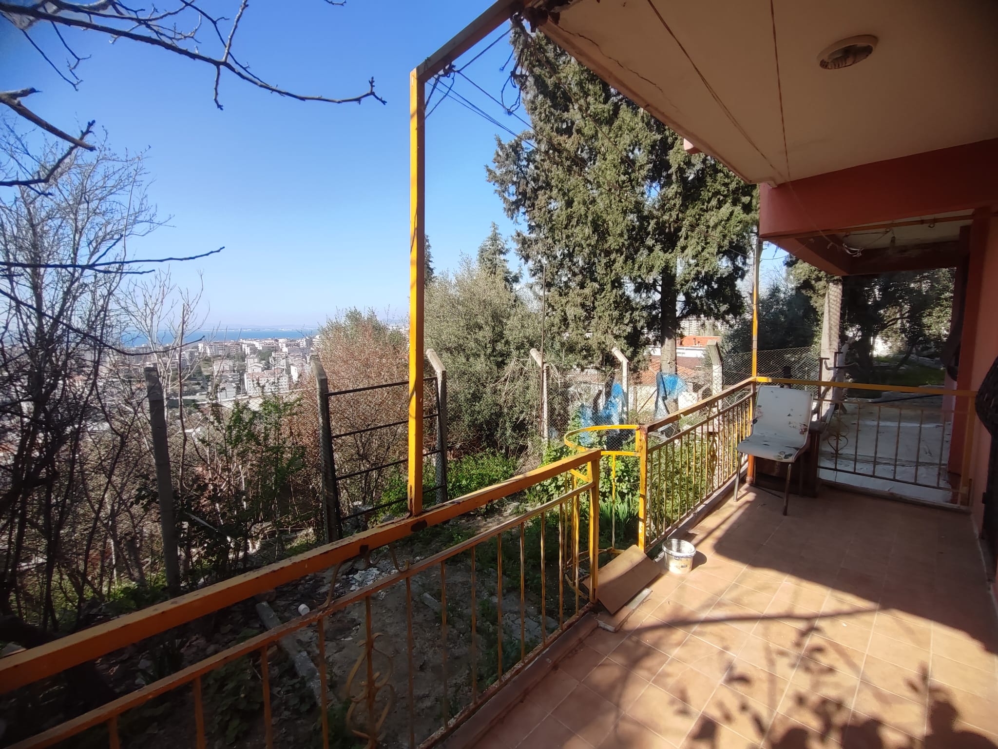 WhatsApp Image 2026-03-12 at 12.41.37 (2)