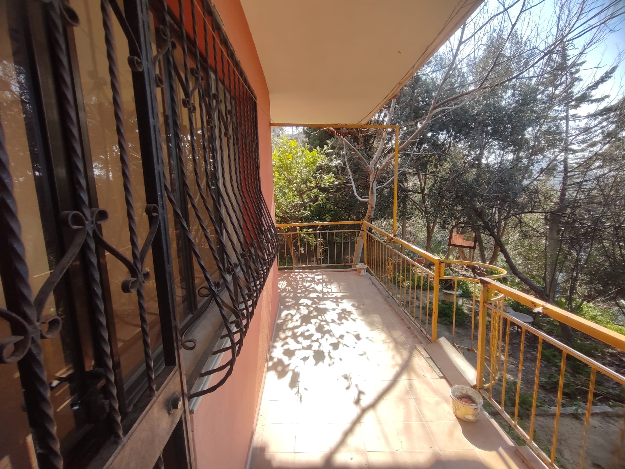 WhatsApp Image 2026-03-12 at 12.41.37 (3)