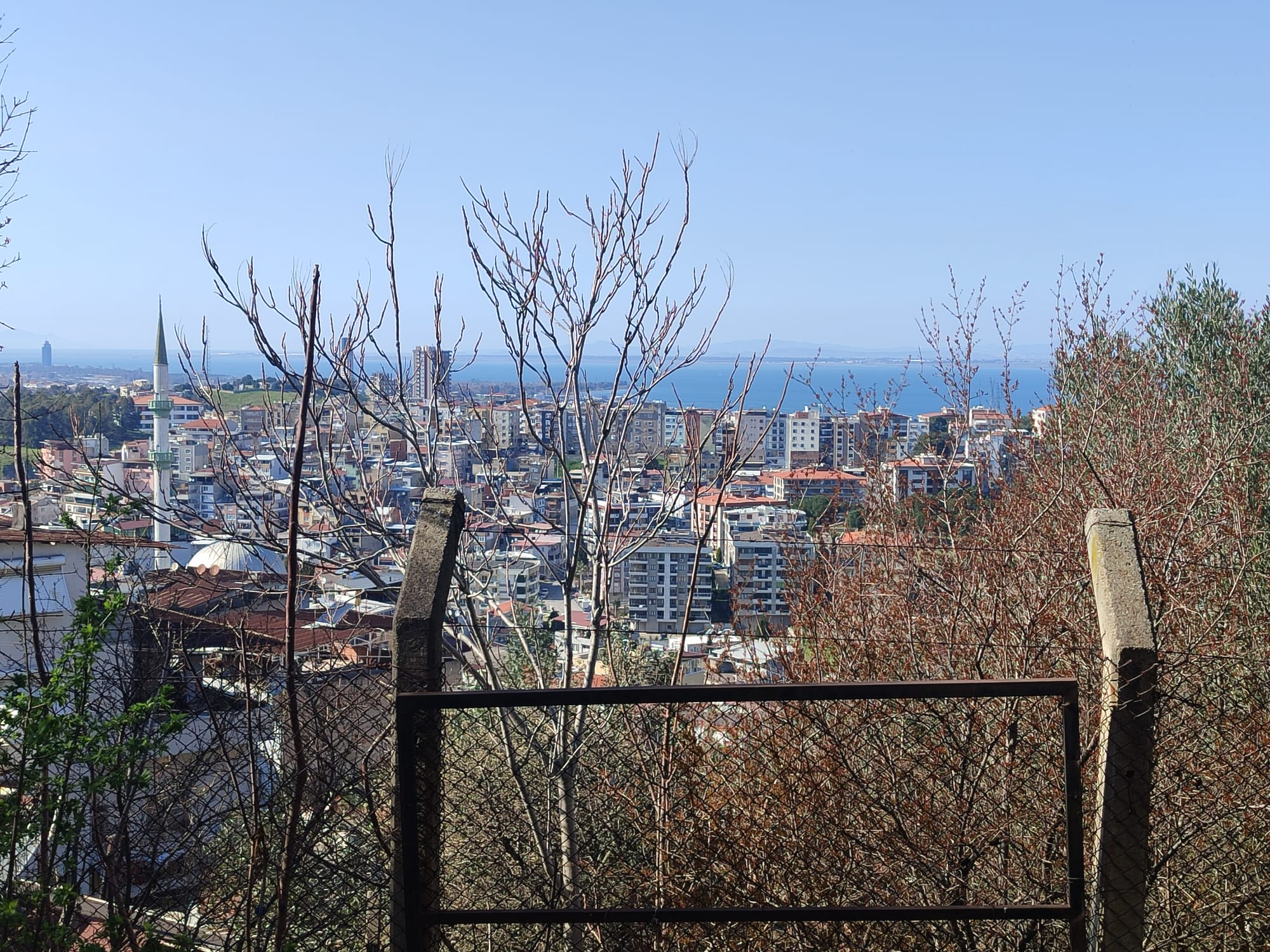 WhatsApp Image 2026-03-12 at 12.41.37 (4)