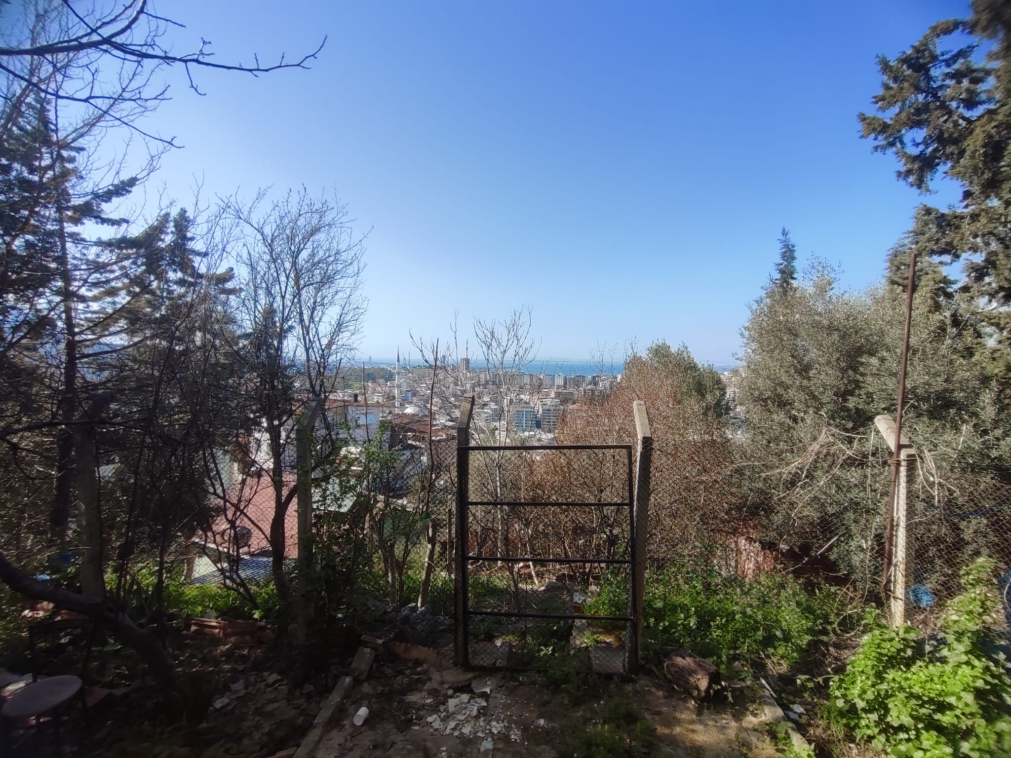 WhatsApp Image 2026-03-12 at 12.41.37 (5)