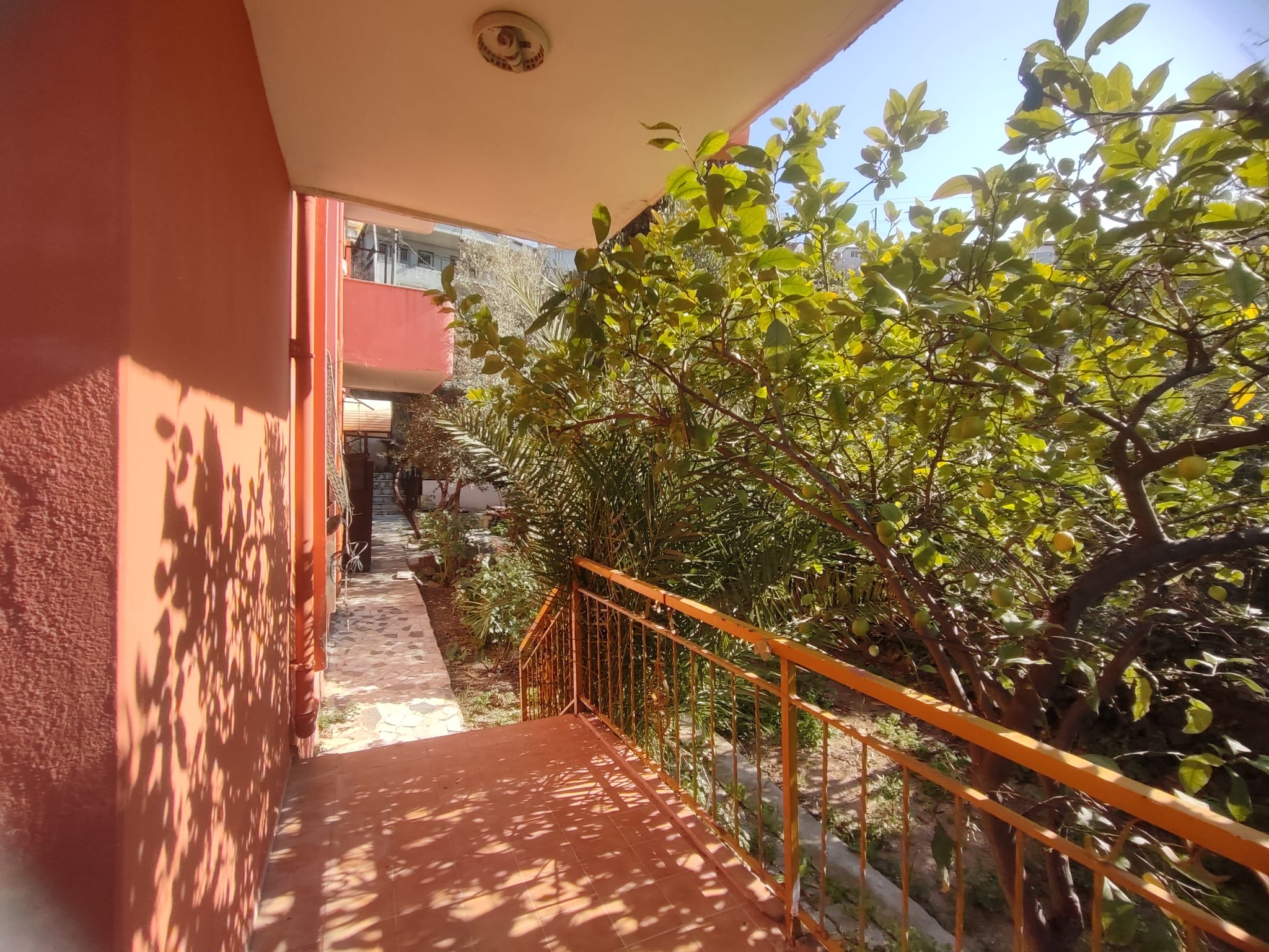 WhatsApp Image 2026-03-12 at 12.41.37