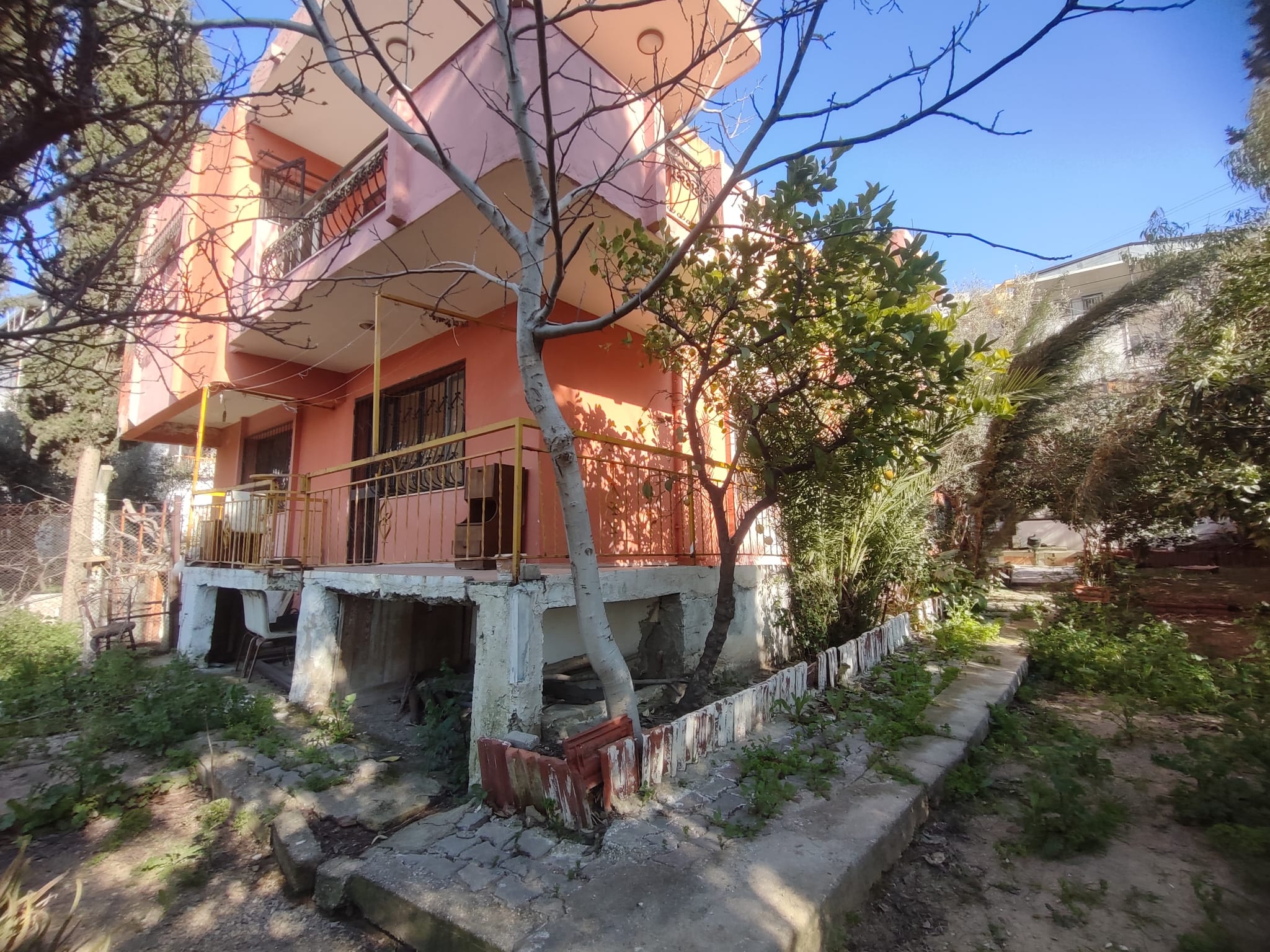 WhatsApp Image 2026-03-12 at 12.41.47 (1)