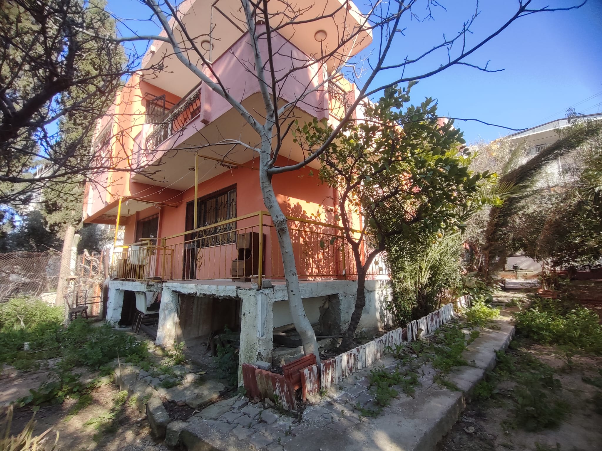 WhatsApp Image 2026-03-12 at 12.41.47