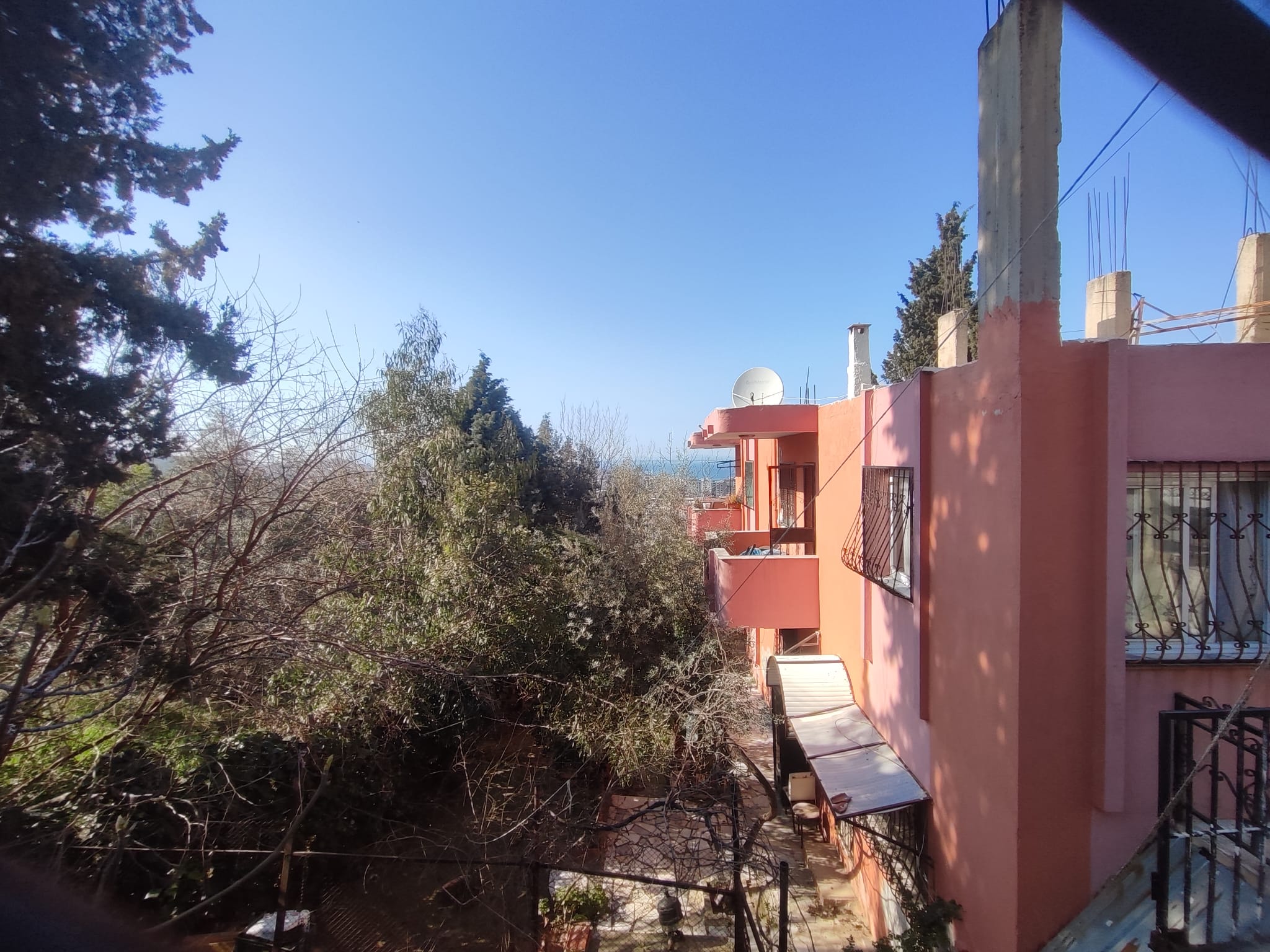 WhatsApp Image 2026-03-12 at 12.41.51 (1)