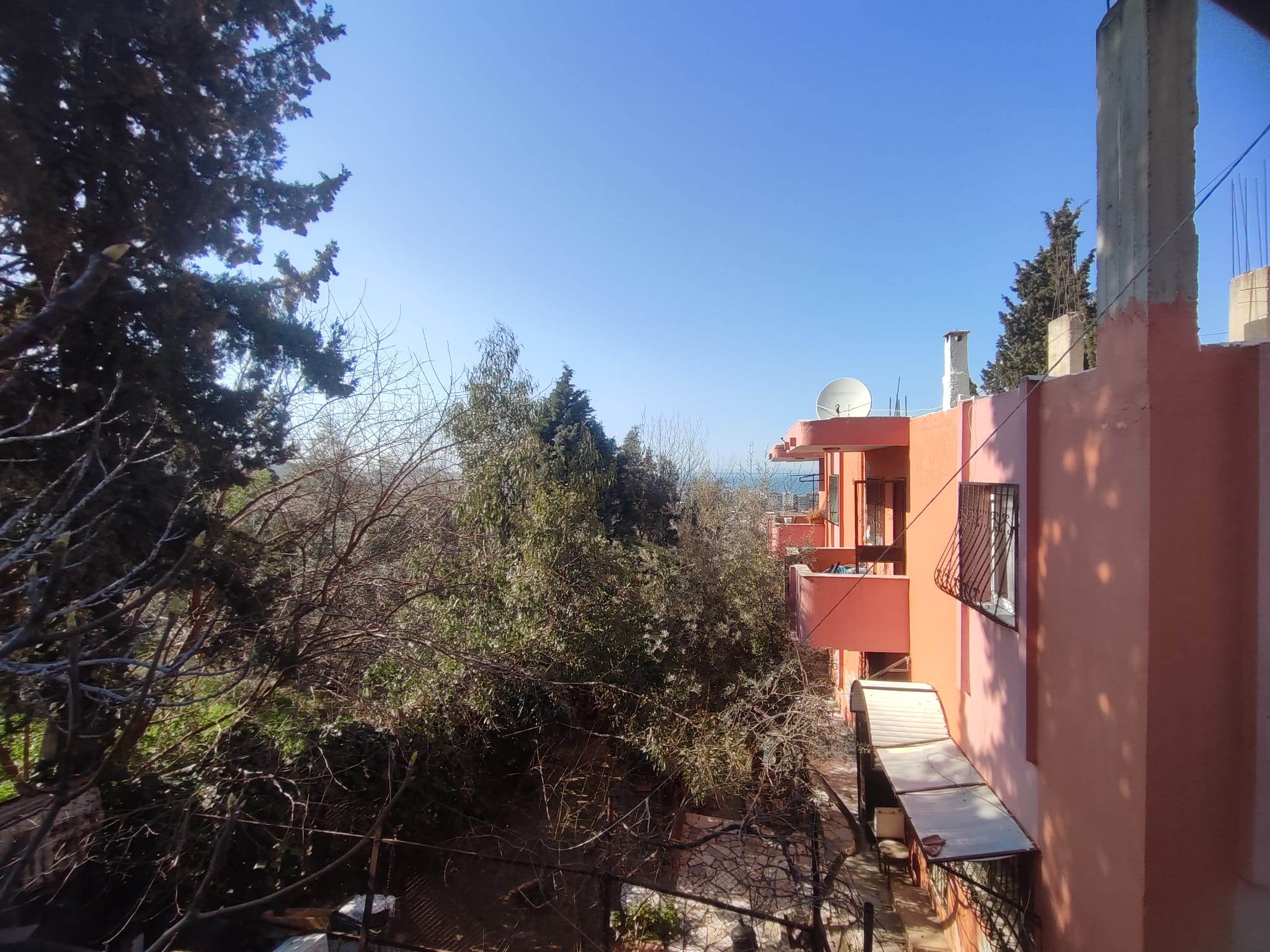 WhatsApp Image 2026-03-12 at 12.41.51