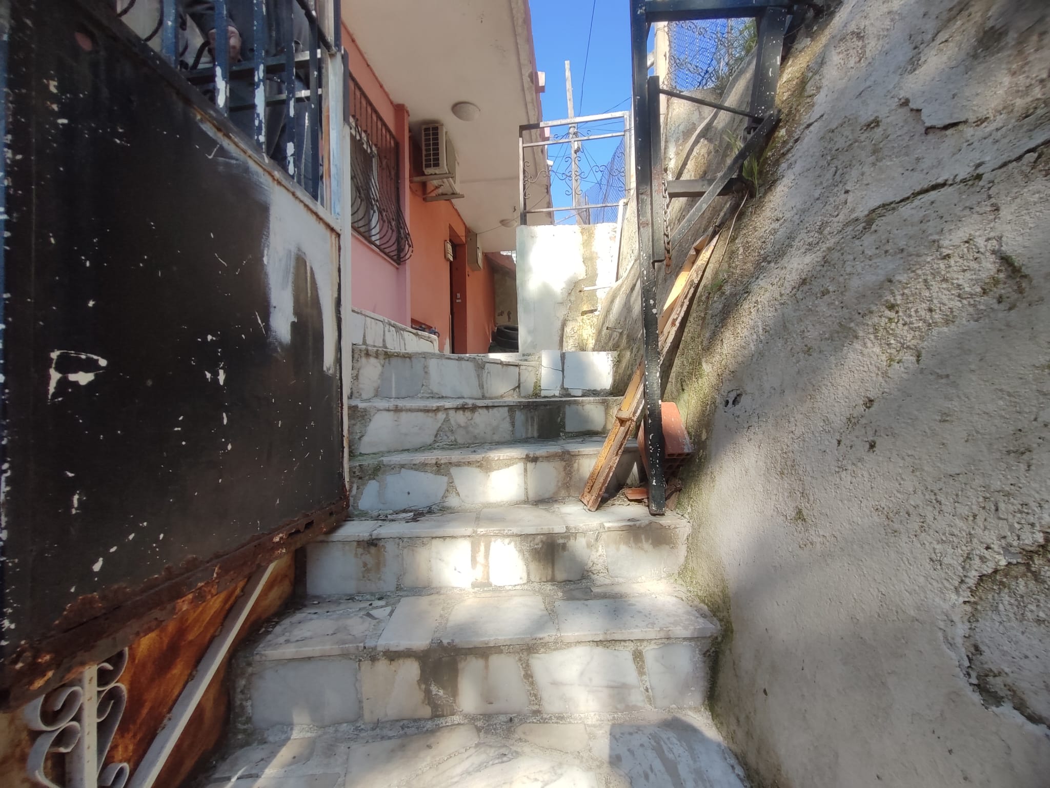 WhatsApp Image 2026-03-12 at 12.41.52 (3)